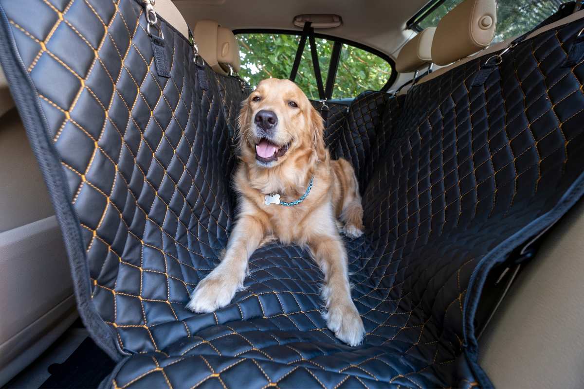 Quel véhicule est adapté pour transporter des animaux sur une longue distance 